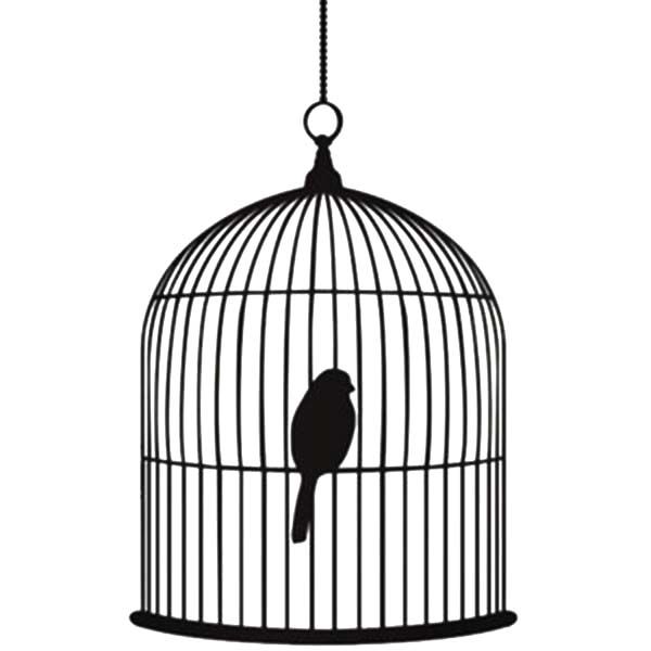 a bird in a cage that is hanging from a chain on a white background with the word love written below it