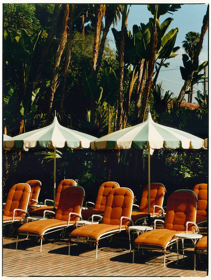 lounge chairs and umbrellas are lined up on a deck near palm trees in the background