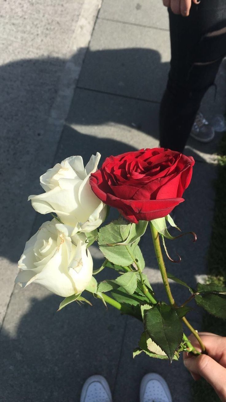 a person holding a red and white rose in their hand on the sidewalk with someone's feet