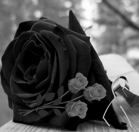 a black rose sitting on top of a wooden table