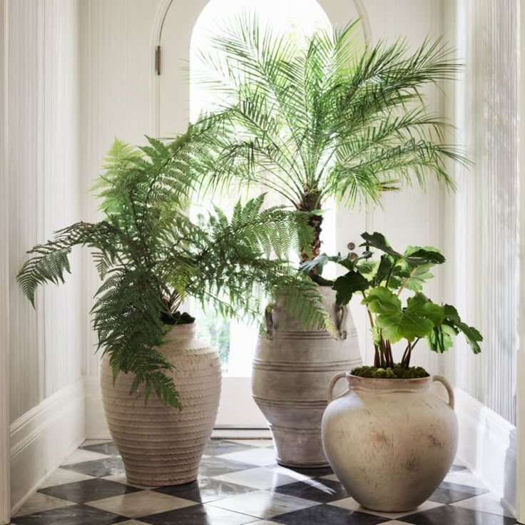 two vases with plants in them sitting on a checkered floor next to a window