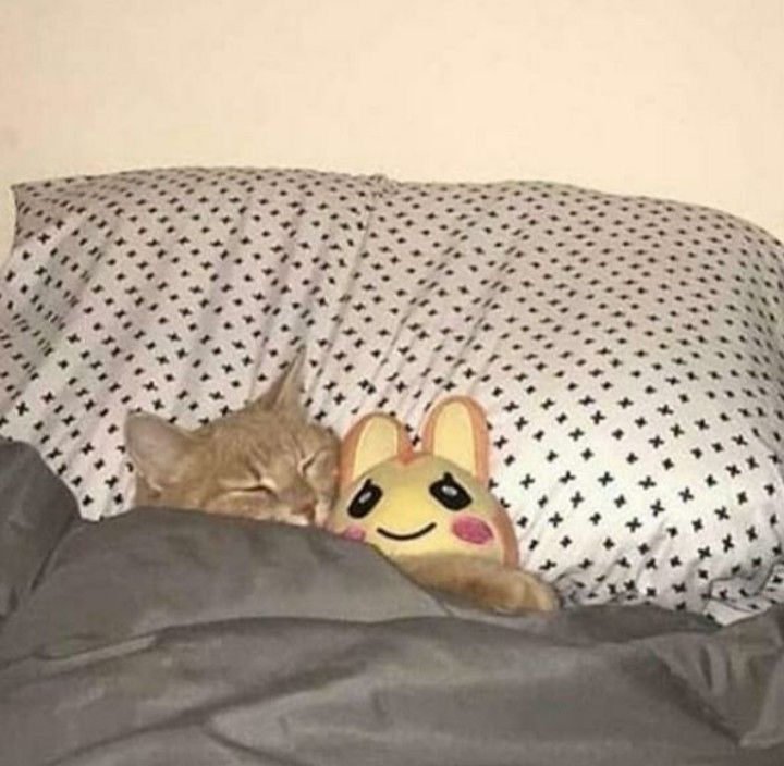 a cat sleeping on top of a bed next to a stuffed animal bunny and pikachu