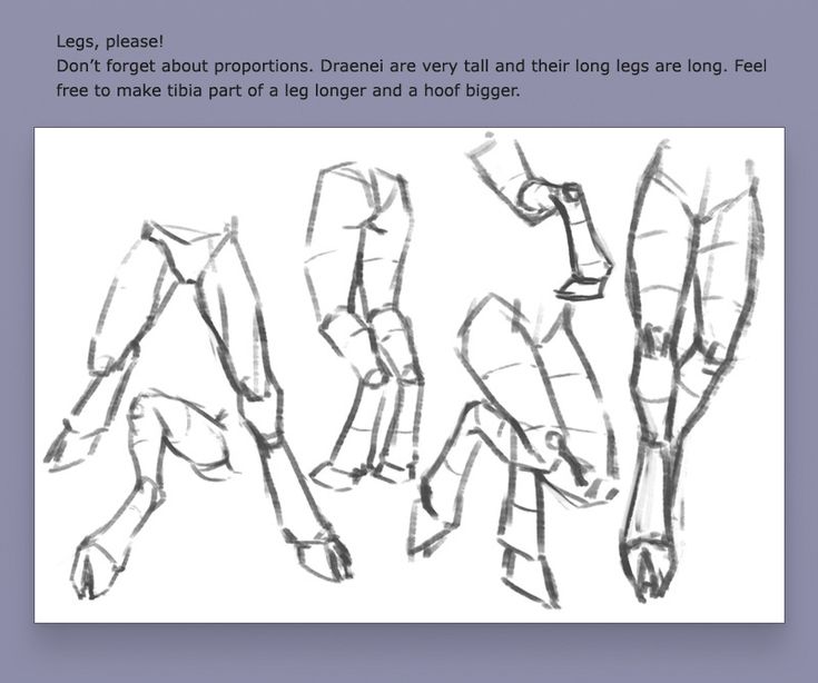 an image of a drawing of legs and feet with text below that reads legs, please don't forget about prognons