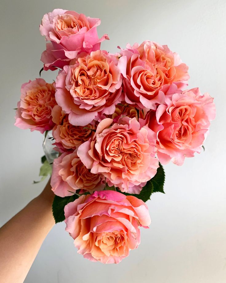 a person holding a bouquet of pink flowers