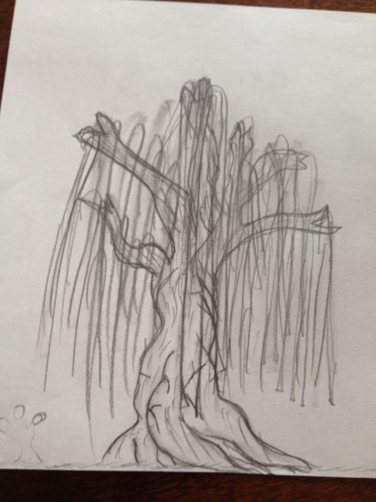 a pencil drawing of a tree on paper