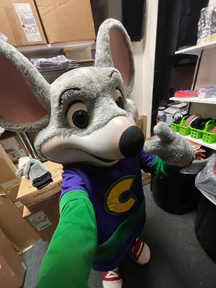 a stuffed animal wearing a green and blue shirt in a room with boxes on the floor