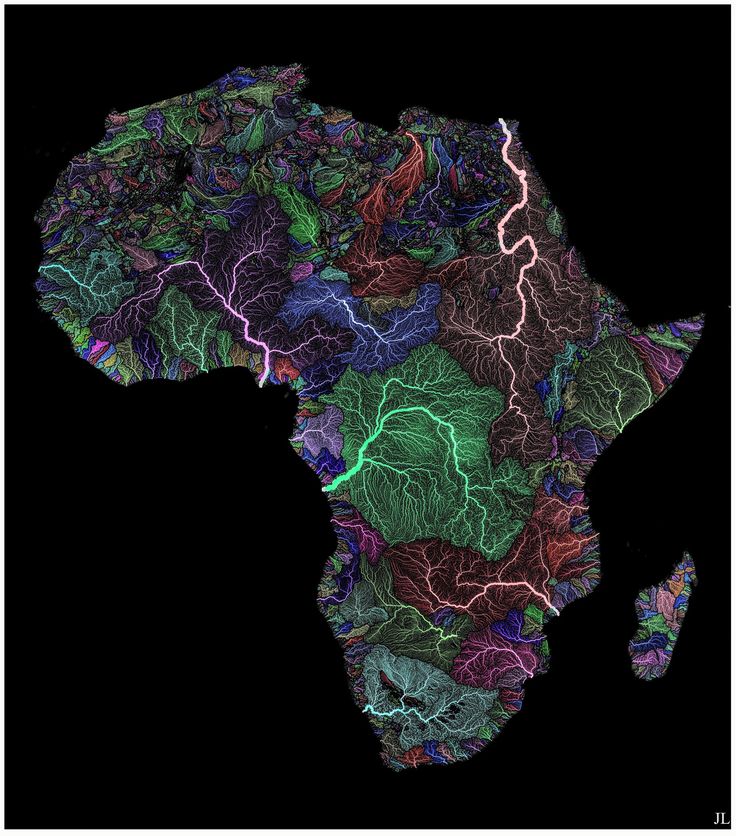 the map of africa is made up of many different colors and shapes, including leaves