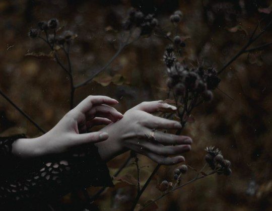 two hands touching each other over some flowers in the woods, with one hand reaching out to another person's hand