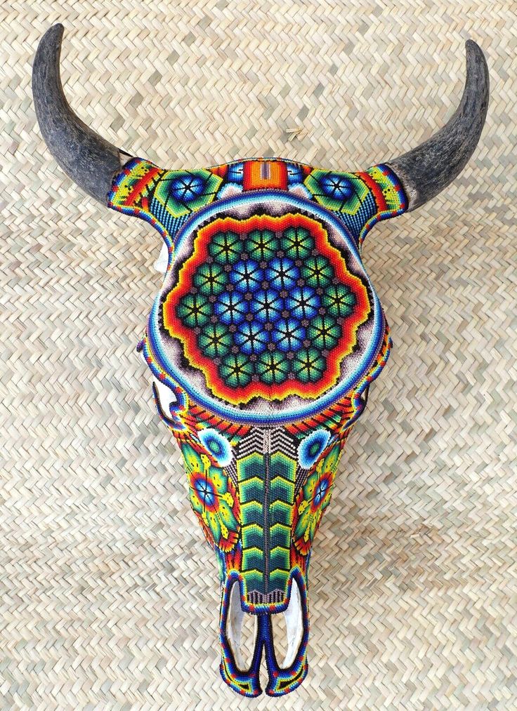 an animal skull with colorful designs on it's face