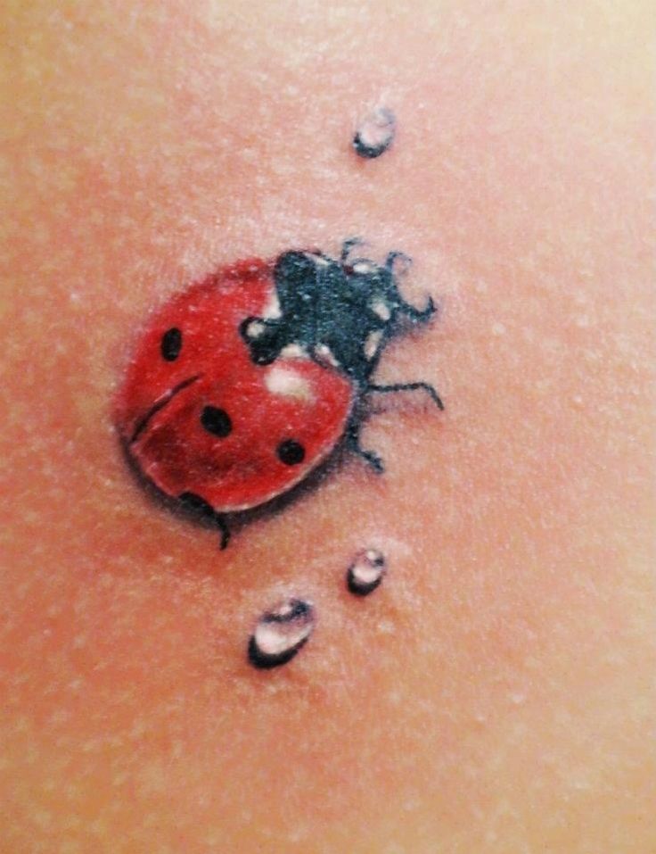 a ladybug tattoo on the back of a woman's stomach with drops of water