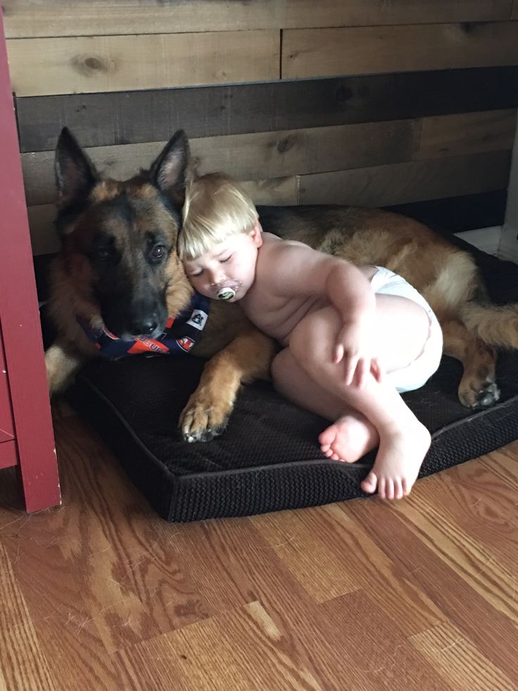 a baby laying on top of a dog