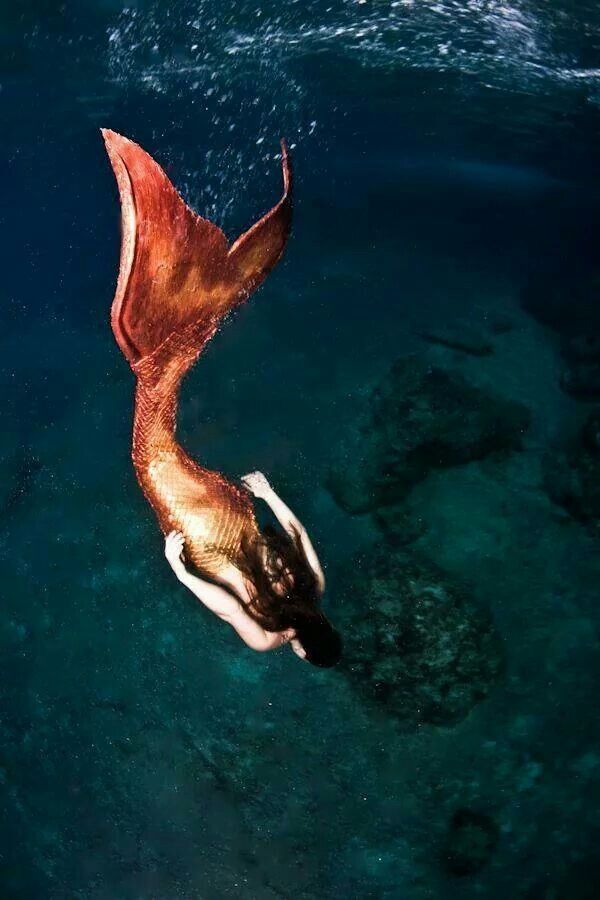 an animal floating in the water with it's wings spread