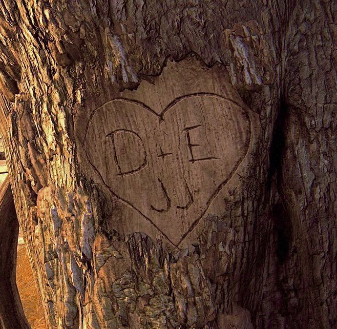 a heart carved into the bark of a tree with initials on it's bark