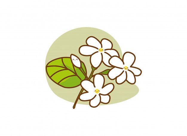 white flowers with green leaves on a light green background