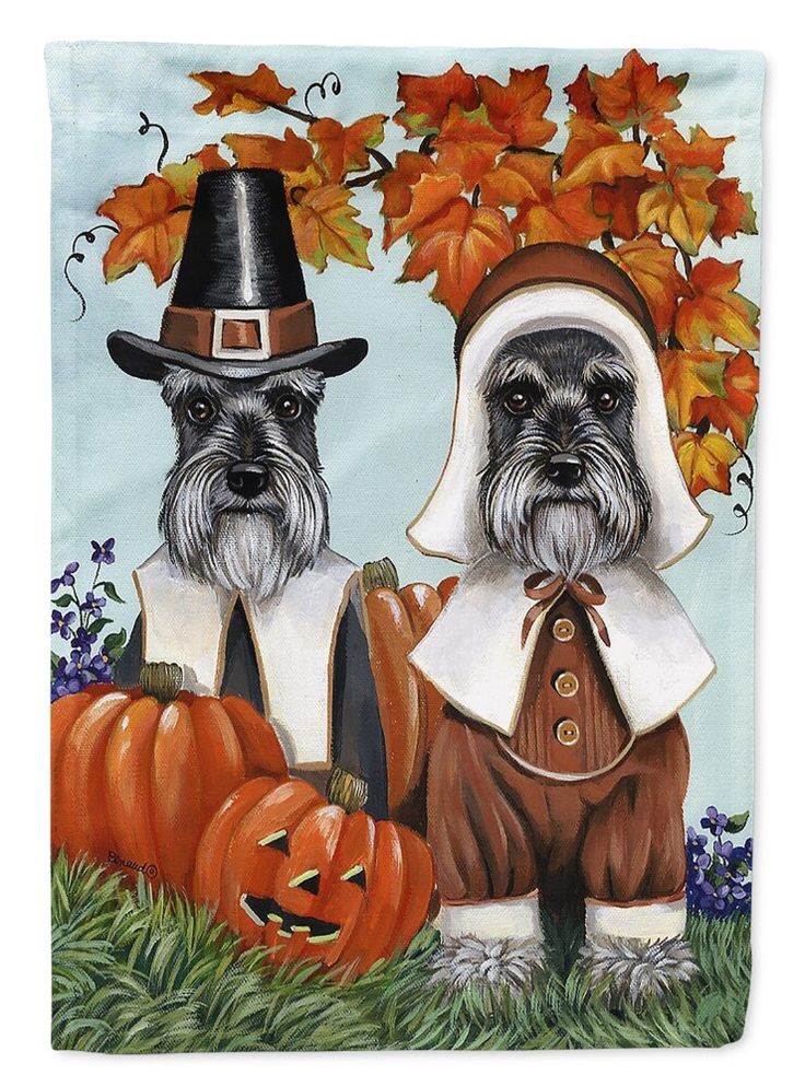 two dogs dressed up as witches and pumpkins