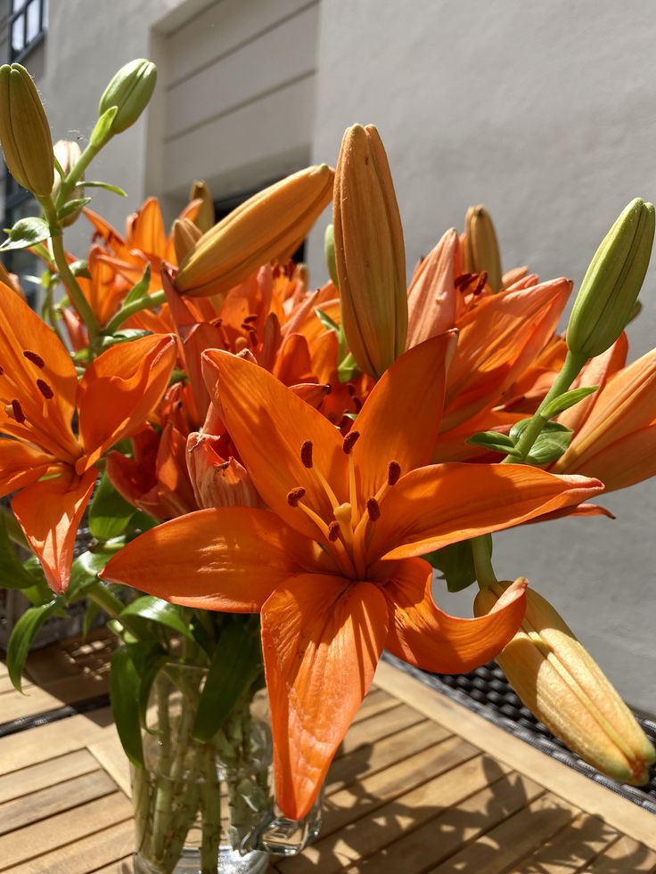 some orange flowers are in a glass vase