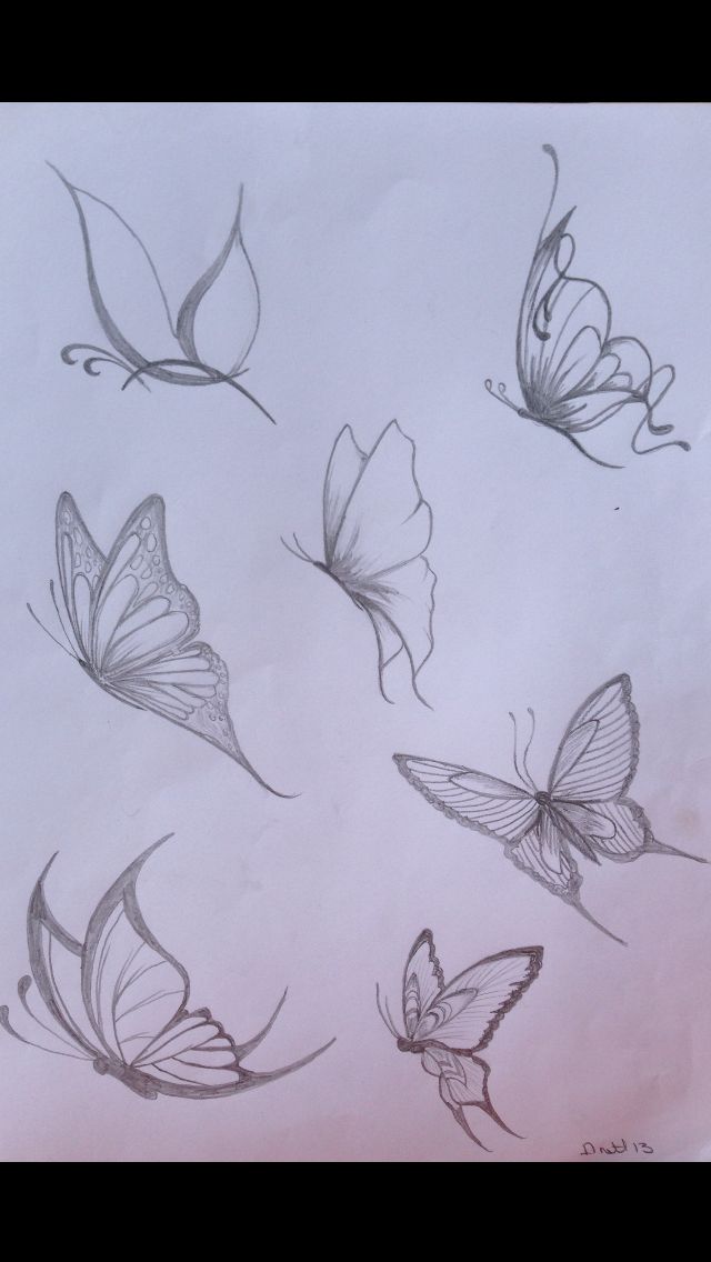 some butterflies are flying in the air