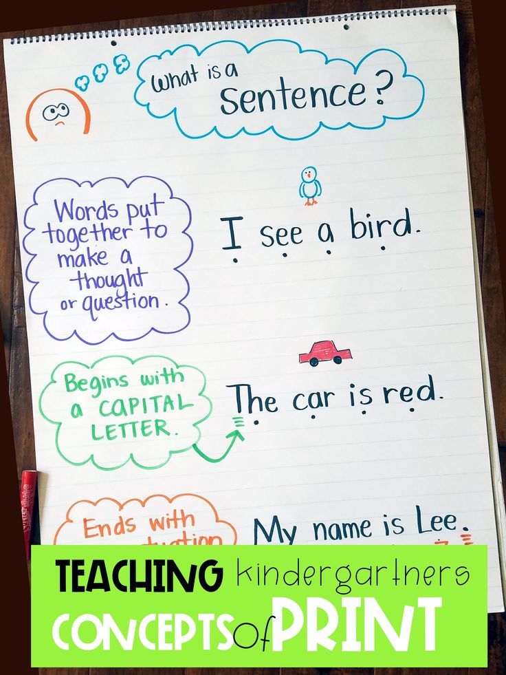 a notebook with writing on it that says, what is a sentence? i see a bird