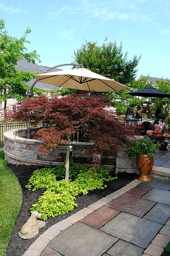 an outdoor patio with umbrellas and landscaping