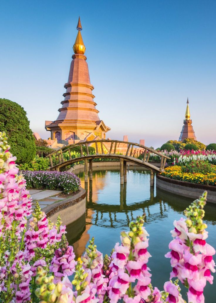 a bridge over a pond with purple flowers in the foreground and pagodas in the background