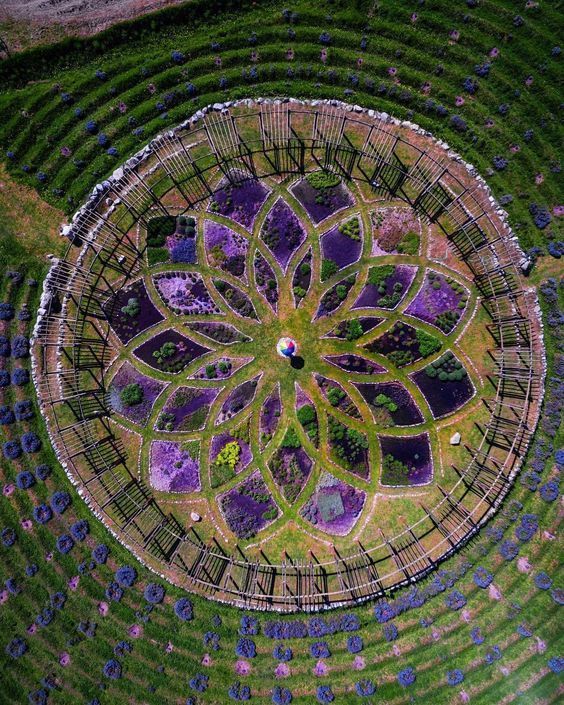 an aerial view of a circular garden in the middle of a field with purple flowers