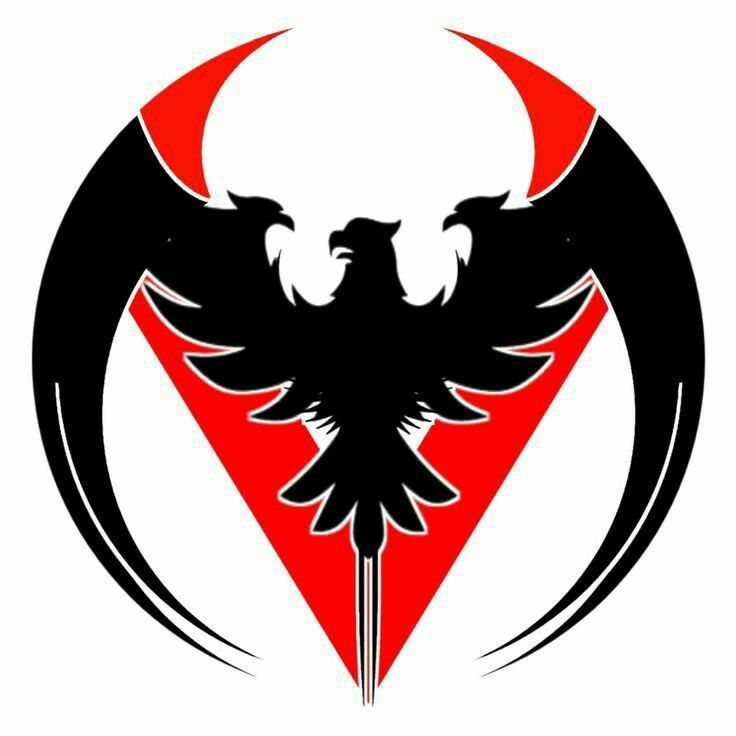 an eagle with the letter v in it's center and surrounded by a red triangle