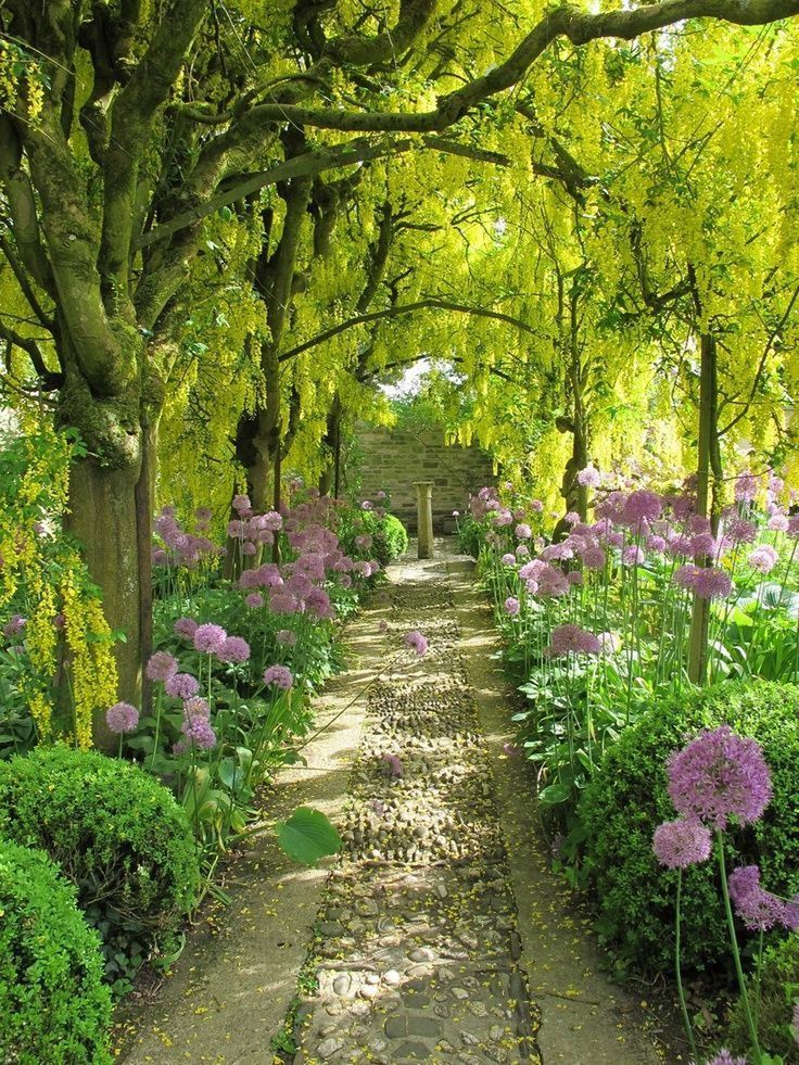 the path is lined with purple flowers and trees