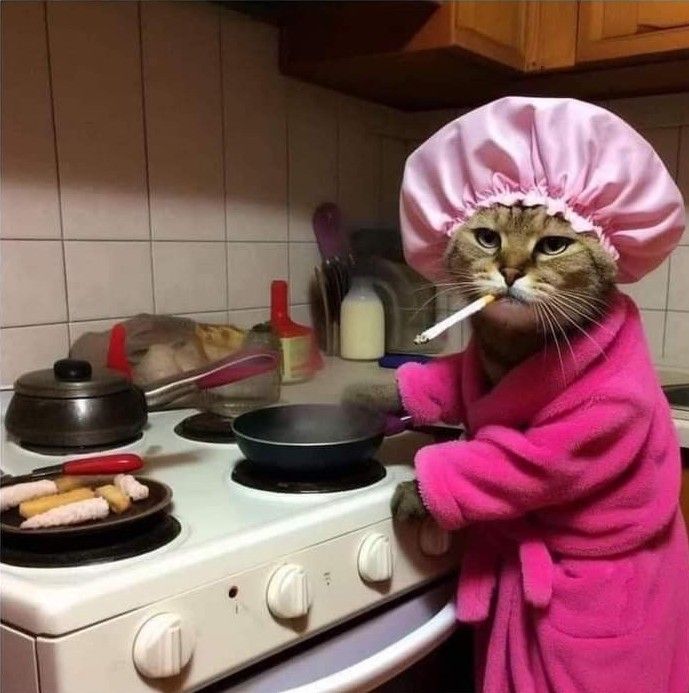 a cat in a pink bathrobe is standing next to an oven with food on it