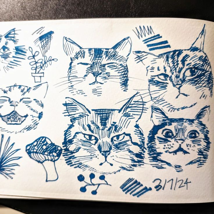 an open notebook with drawings of cats on it