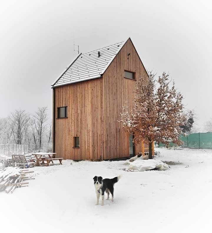 two dogs are standing in the snow near a building with a wooden roof and windows