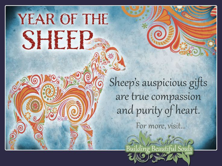 the year of the sheep is an artistic gift for those who love to see it