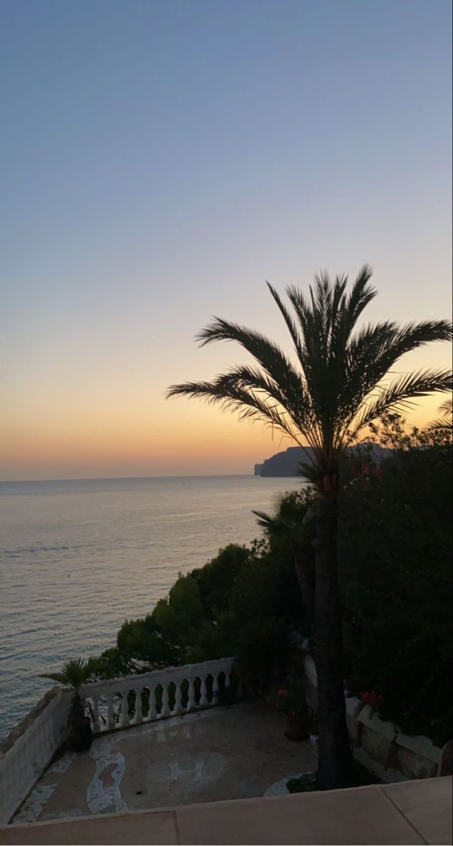 a palm tree sitting on top of a lush green hillside next to the ocean at sunset