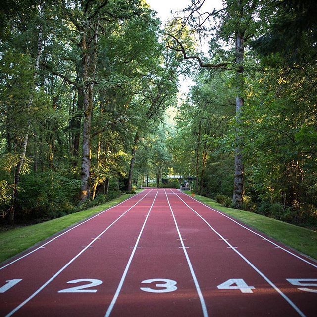 an empty running track surrounded by trees and grass