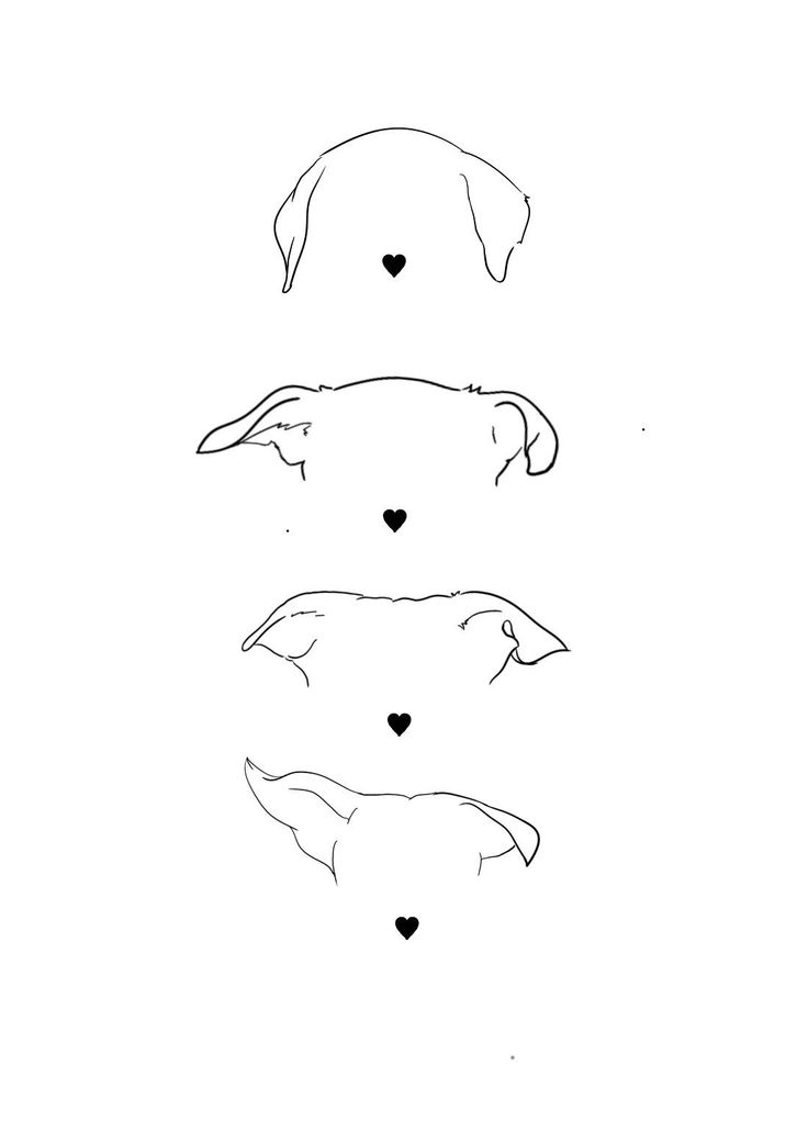 three dogs with hearts drawn on their faces in the shape of two heads, one is black and white