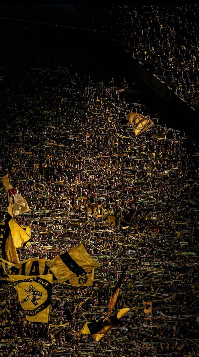 a stadium full of fans holding up yellow and black flags