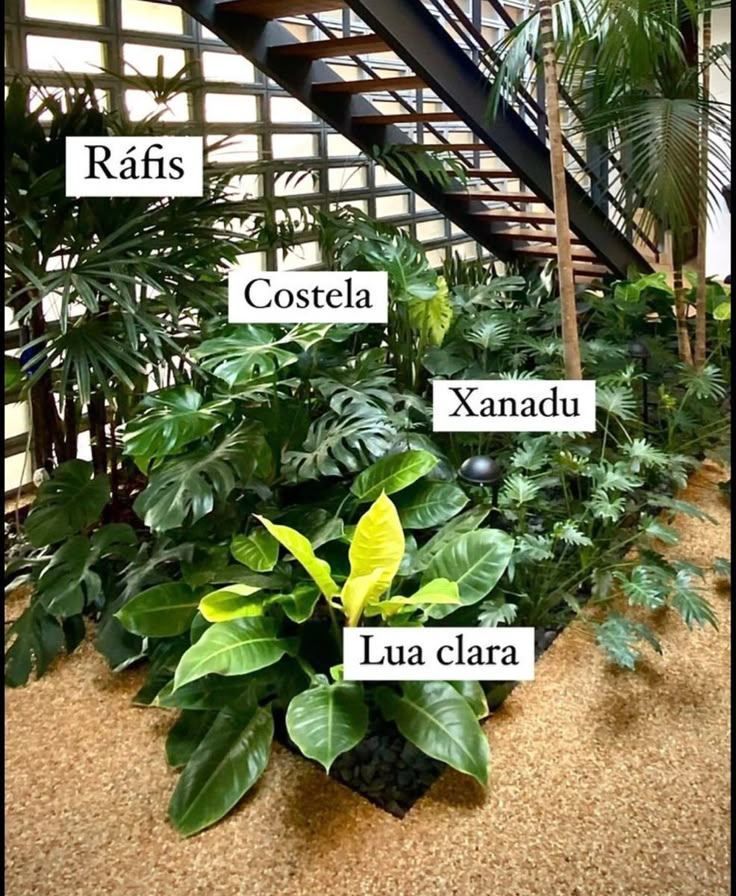 the names of different plants in front of a stair case