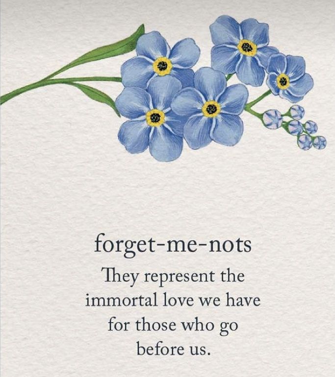 forgetr - me - nots, they represent the imnoral love we have for those who go before us