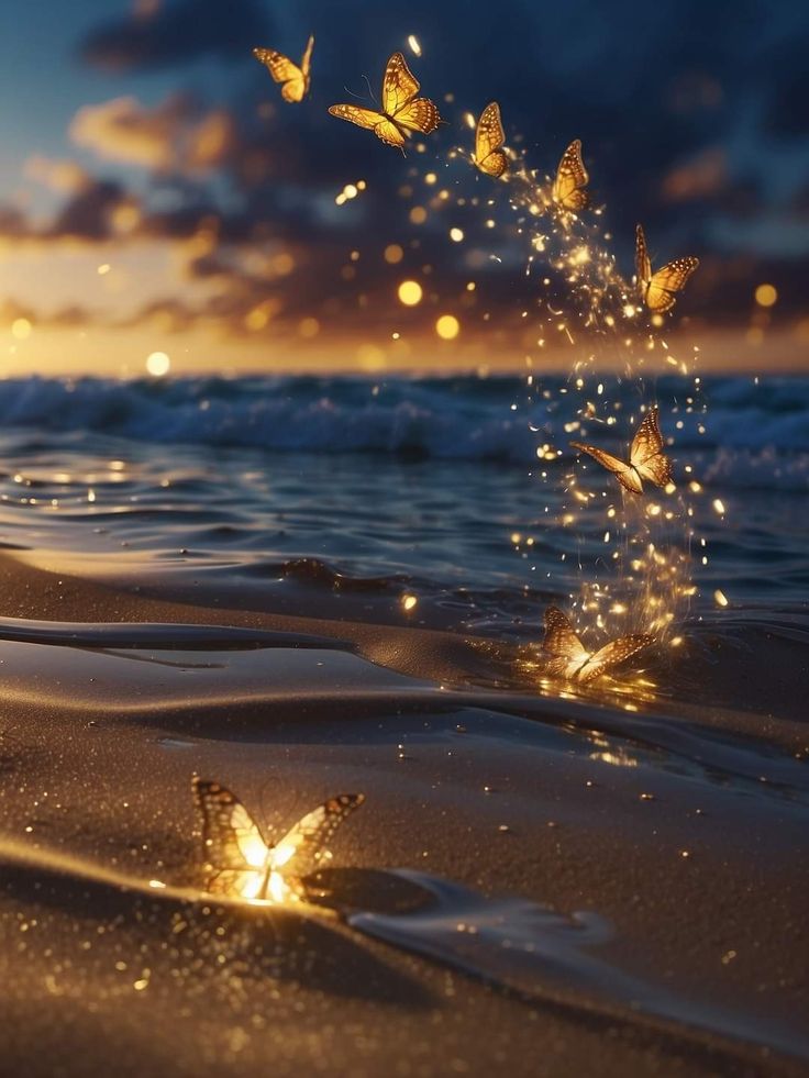 some butterflies flying over the water at sunset