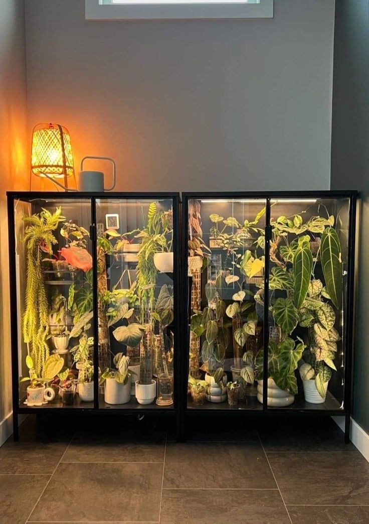 a display case filled with lots of different types of plants