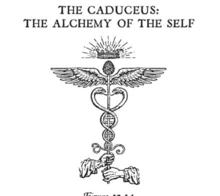 the caduceus the alchemy of the self by henry m whitlock