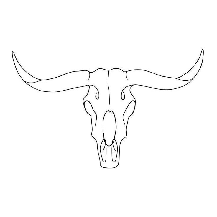 a bull's skull with long horns on the side, drawn in black and white