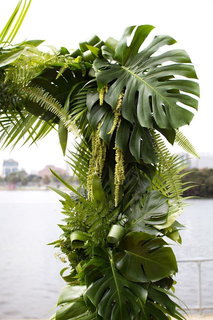 there is a plant hanging from the side of a pole by the water's edge