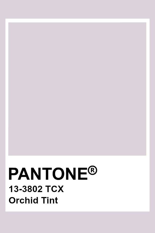 pantone's white and gray color scheme with the words, 13 - 382 tcx orchid tint