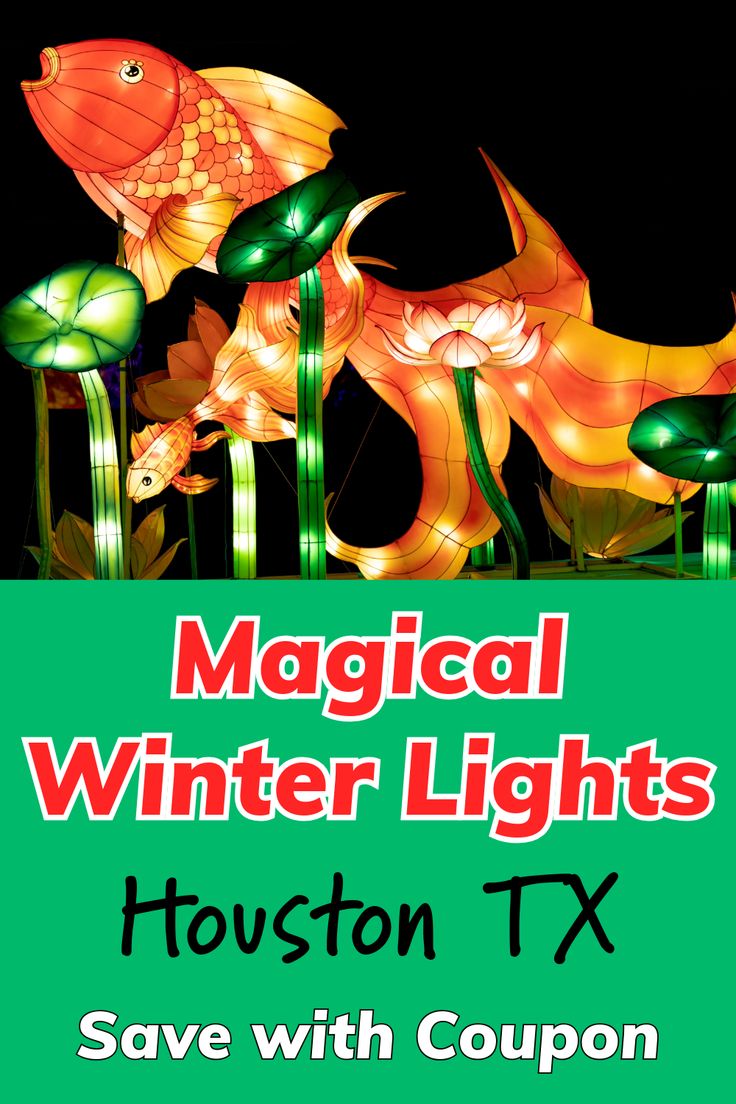 Magical Winter Lights in Houston TX - Save with Coupon Houston Christmas, Christmas In Texas, Family Christmas Activities, Last Minute Christmas Gift Ideas, Christmas Trips, Best Christmas Light Displays, Christmas Travel Destinations, Planning Christmas, Chinese Lantern Festival