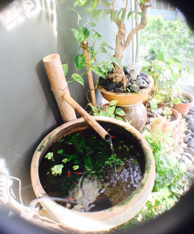 there is a potted plant next to a watering hose and some water in it