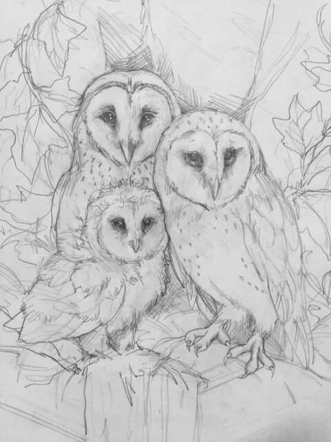 two owls sitting on top of each other