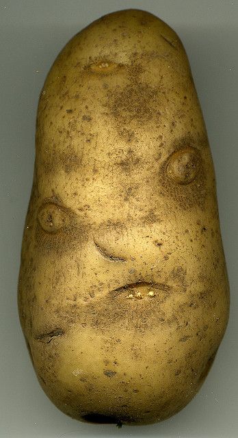 a close up of a potato on a white surface with one eye open and the other half closed