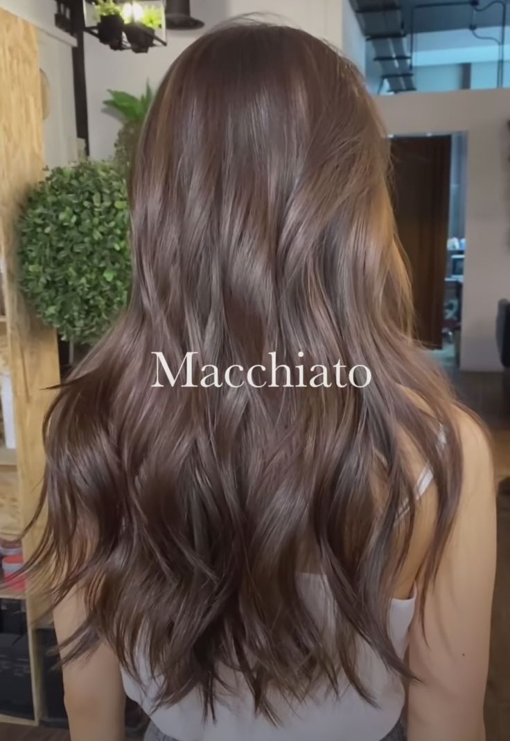 Dark Warm Brown Hair, Rambut Brunette, Brown Hair Looks, Ash Hair Color, Brown Hair Inspo, Brunette Hair With Highlights, Brunette Balayage Hair, Brown Hair Balayage, Light Hair Color