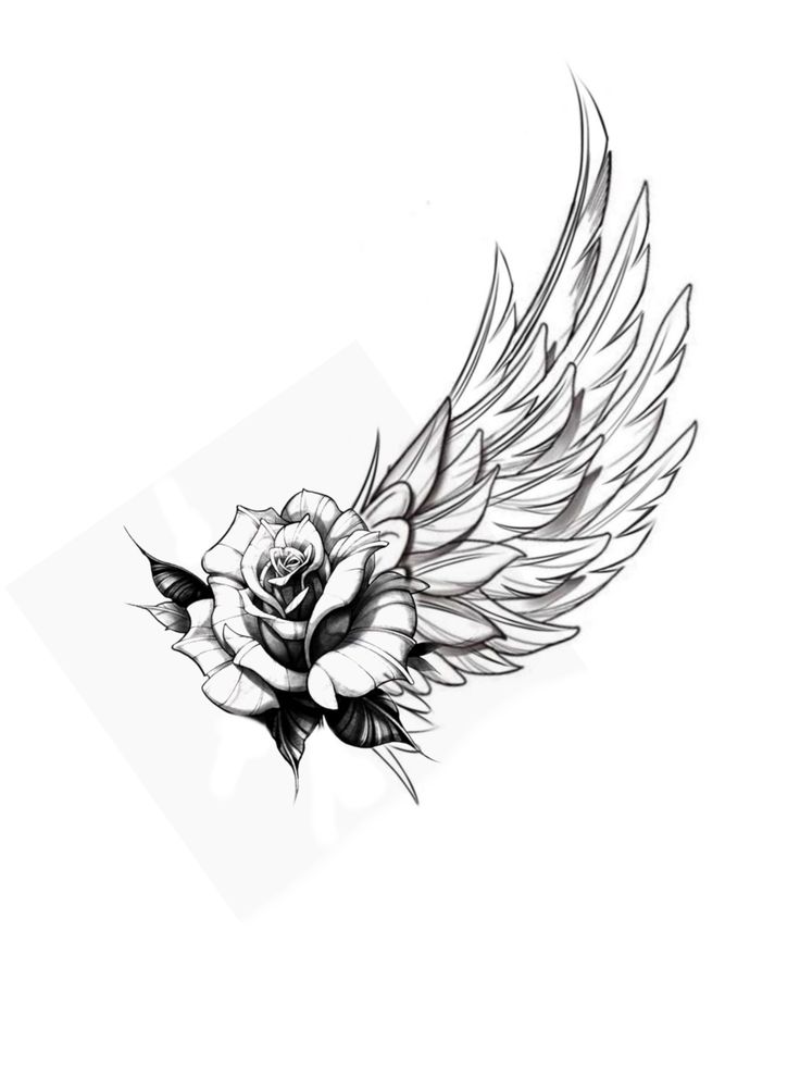 a rose with wings tattoo design