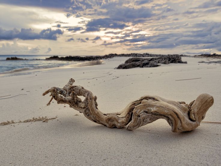 there is a driftwood on the beach with an inspirational quote